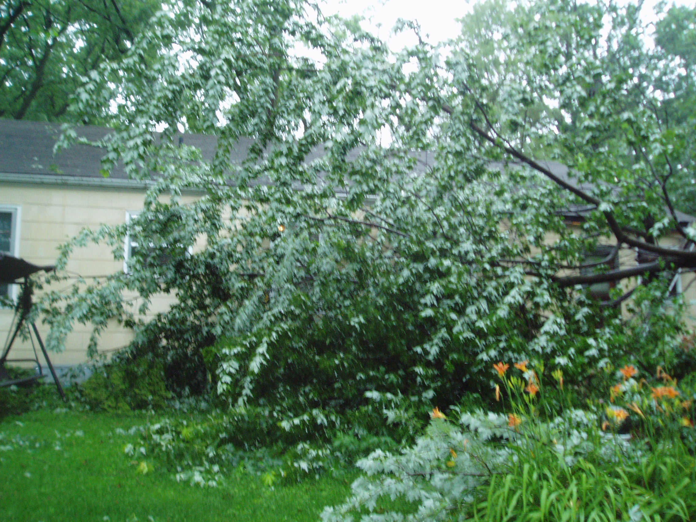 6-26-15 State Farm Damage Storm 001.JPG