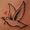 dove with peace branch avatar.jpg