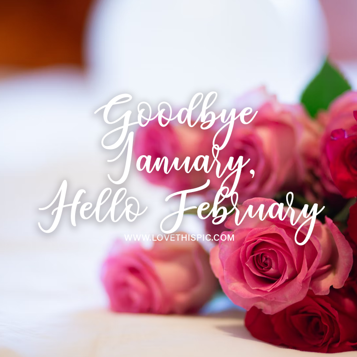 407620-Goodbye-January-Hello-February.png