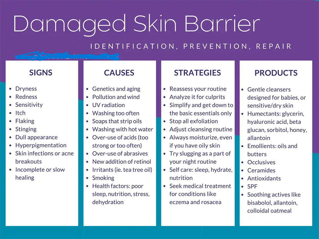 Damaged skin barrier.png