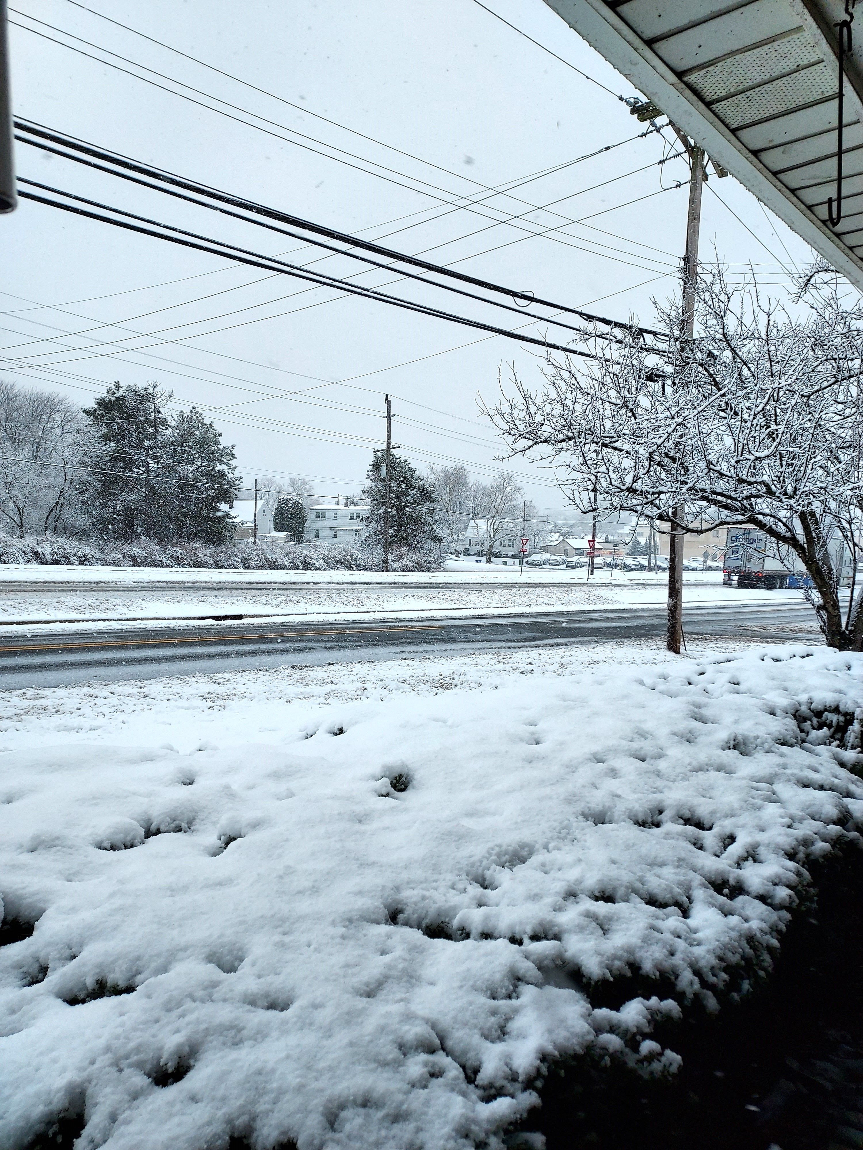 20240213_083527 (1).jpg