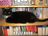 cat_shelf.jpg