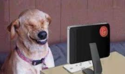 Screenshot 2024-02-16 182110.png