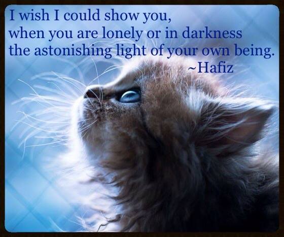 your astonishing light...