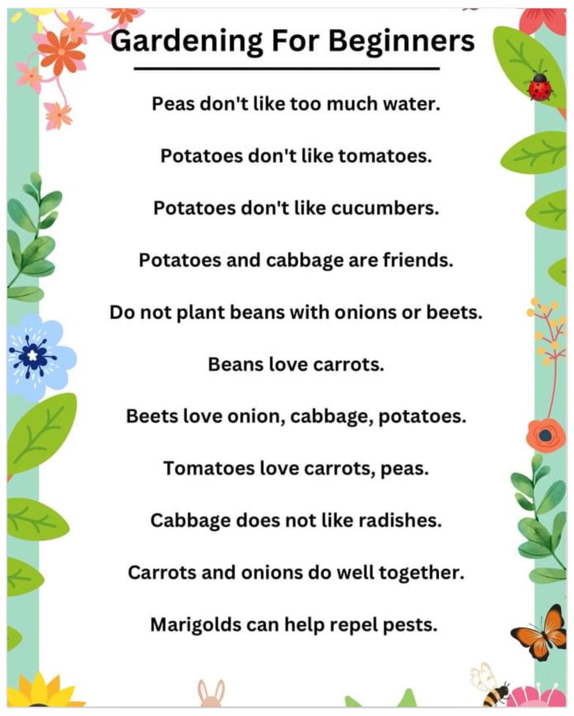 Vegetable Garden Pairings Blogs & Forums