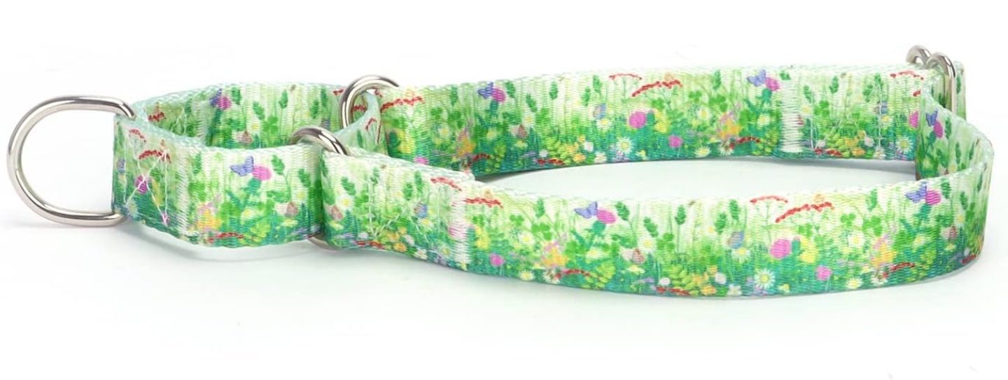 Frankie's new Martingale Blogs & Forums