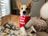 IMG_1231.jpeg