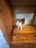IMG_6331.jpeg
