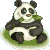 pandalady_1