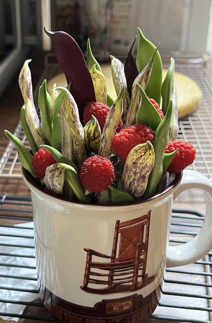 Screenshot 2024-07-04 at 7.25.47 PM.png