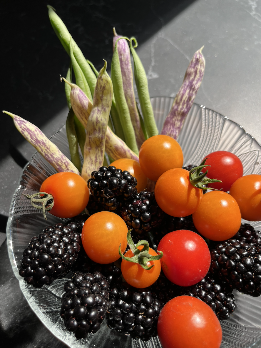 Screenshot 2024-07-04 at 7.28.49 PM.png