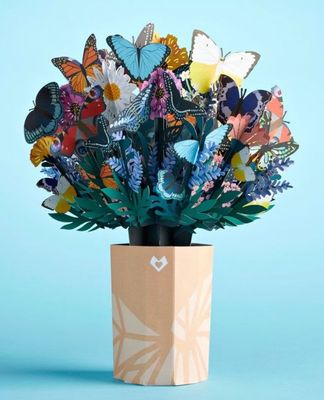 Butterfly flowers.jpg