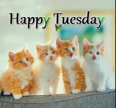 Good Tuesday Morning.jpg