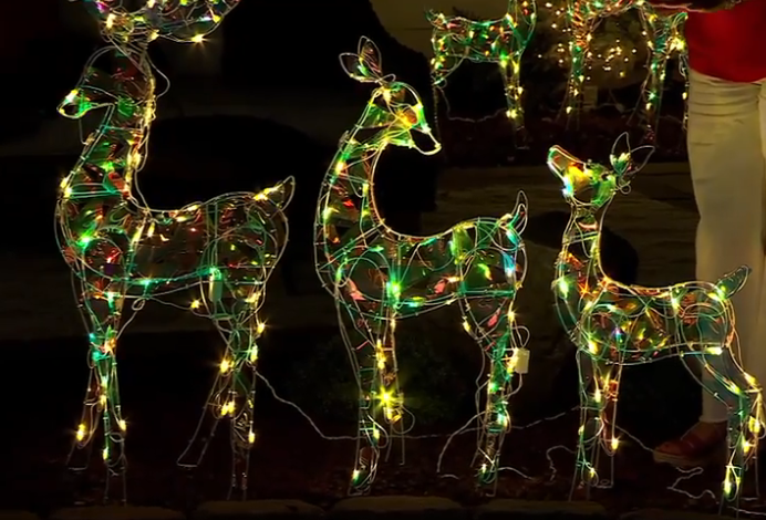 Screenshot 2024-07-11 131147.png