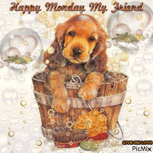 GIF--Dog-in-Bubbly-Tub--HAPPY-MONDAY-FRIEND.GIF