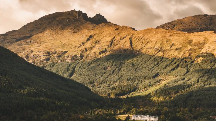 Screenshot 2024-07-25 at 7.56.02 AM.png