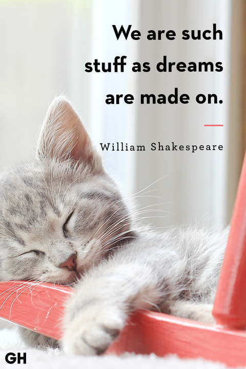 sleep-quotes-20-shakespeare-1557757481.png