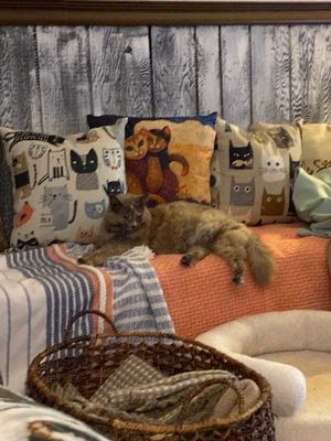 Bree 2 wks relaxing.jpg