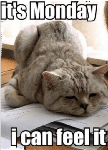 Screenshot 2024-08-12 091848.jpg