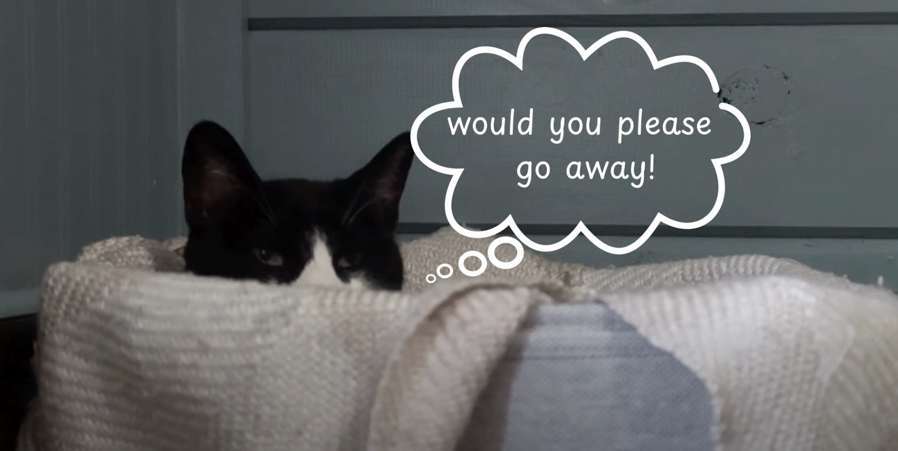 Screenshot 2024-08-16 at 8.43.50 AM.png