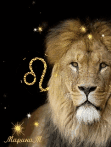 GIF--Proud-Lion-Male-Male--with-Leo-Astro-Sign.gif