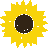 sunflower.gif