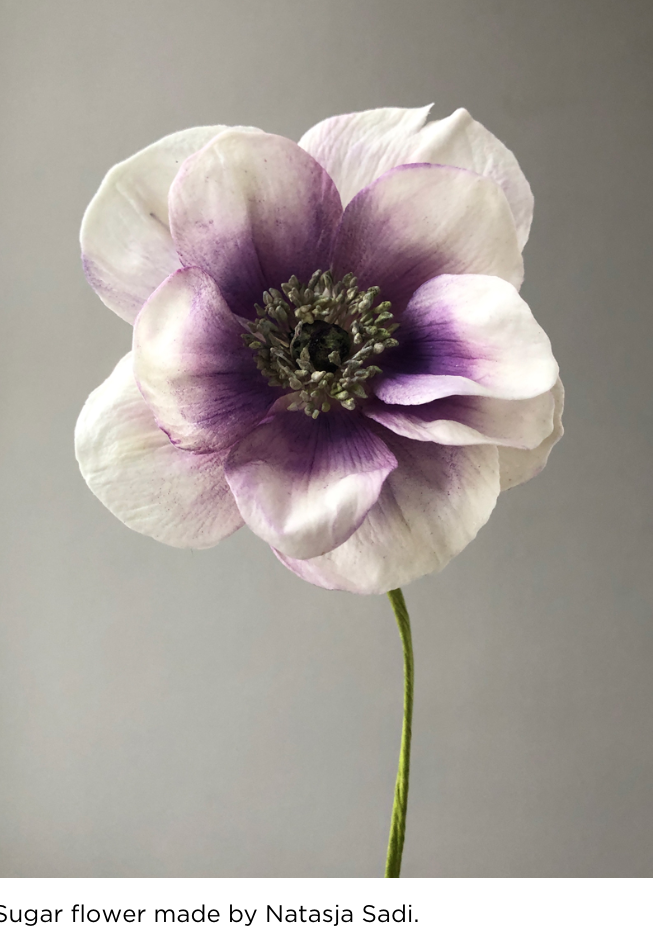 Screenshot 2024-10-07 at 5.45.44 PM.png