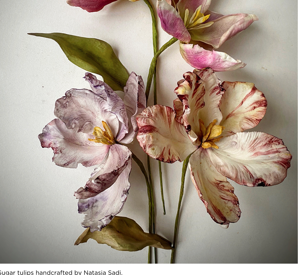 Screenshot 2024-10-07 at 5.46.47 PM.png