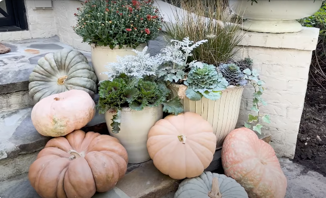 Screenshot 2024-10-09 at 1.50.01 PM.png