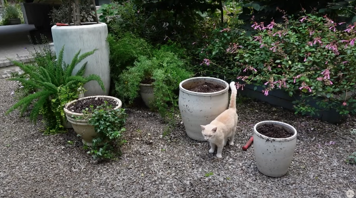 Screenshot 2024-10-09 at 2.08.05 PM.png