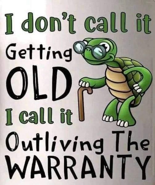 _ - 2024-10-11T083304.724.jpeg