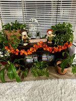 Fall Entertainment Center.jpg