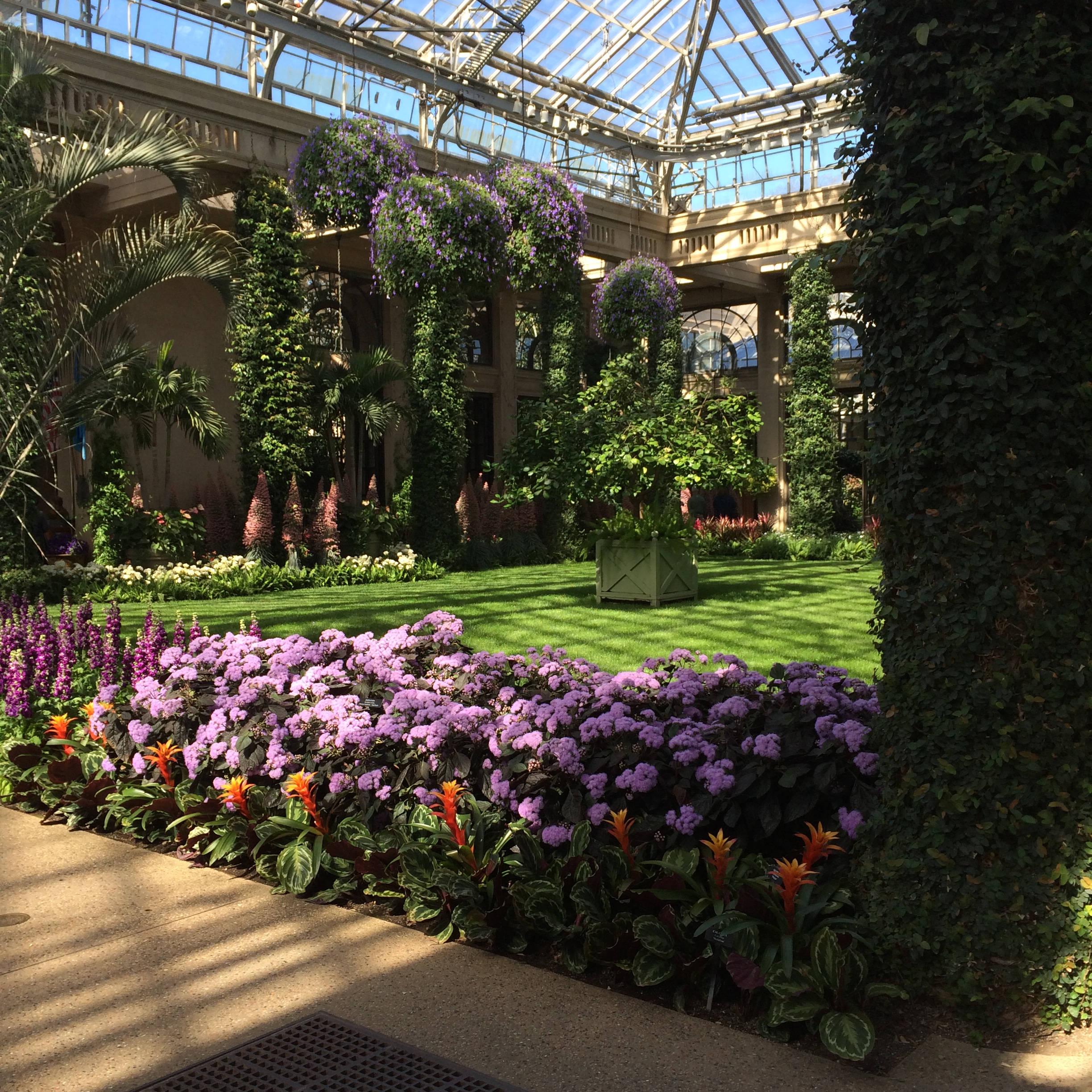 Main Greenhouse view.JPG