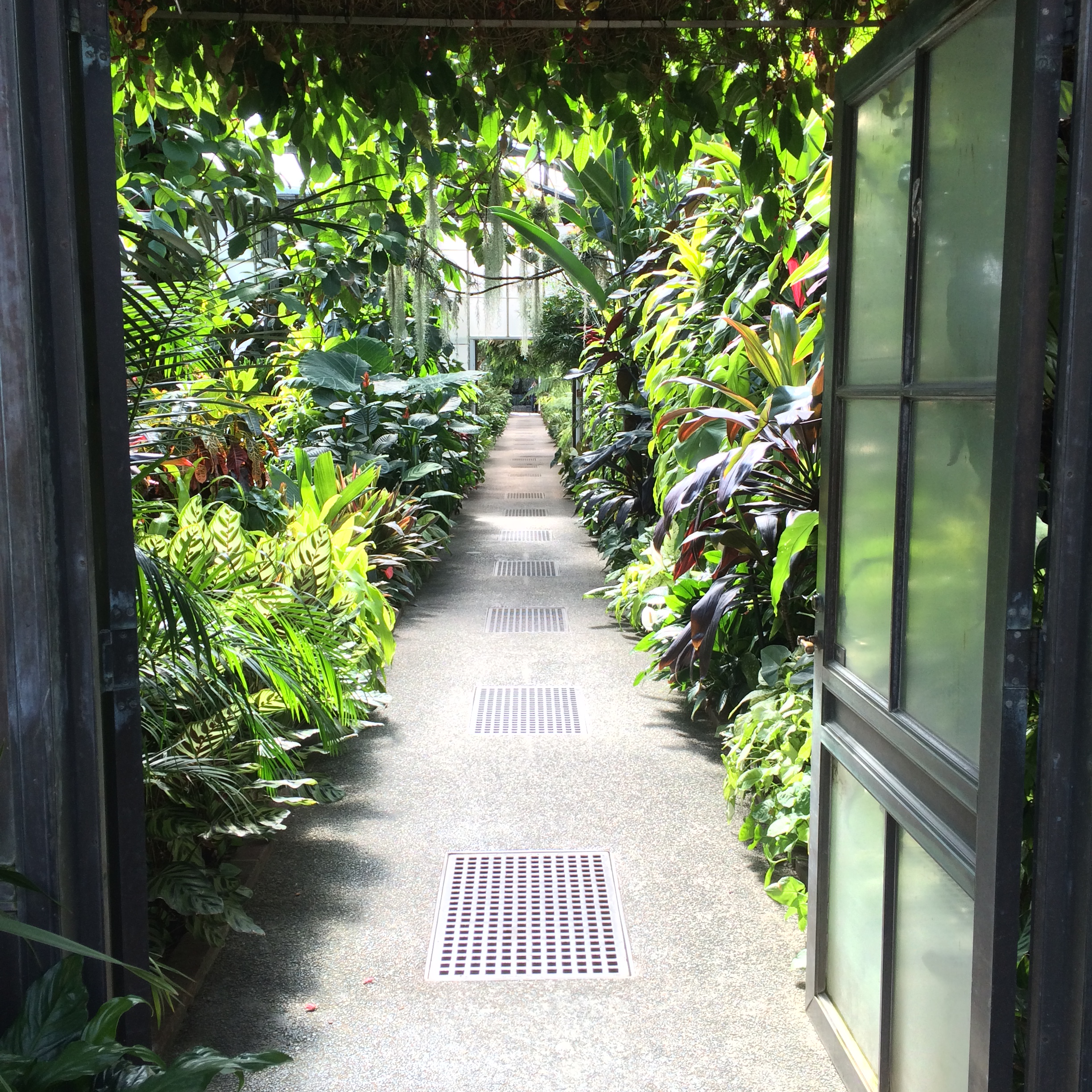 Peek down the hallway.JPG