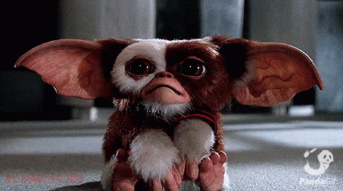 GIF--Sweet-Gremlin.gif