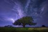 lightning in Albany, TX.jpg