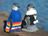 New Zealand Penguins Wear Sweaters SIZE.jpg