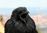 IMG_6044.jpeg