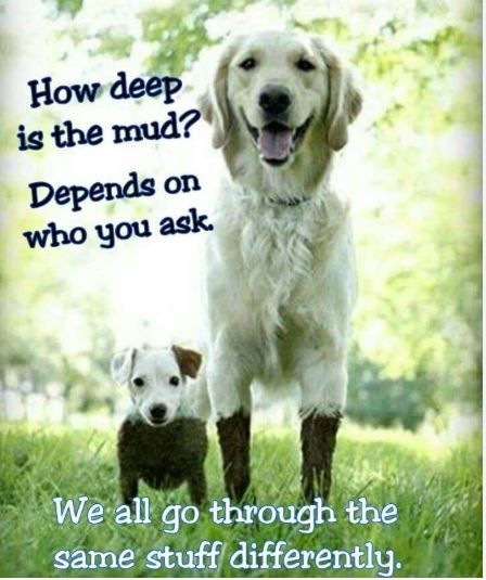 How deep is the mud.JPG