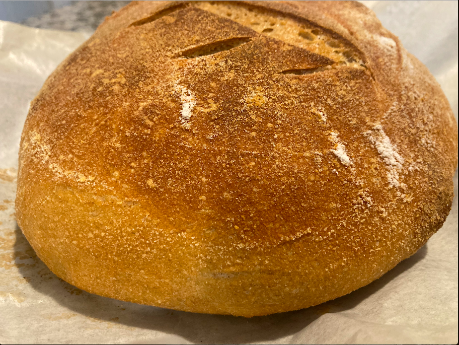 Screen Shot 2025-01-25 at 9.44.09 AM.png