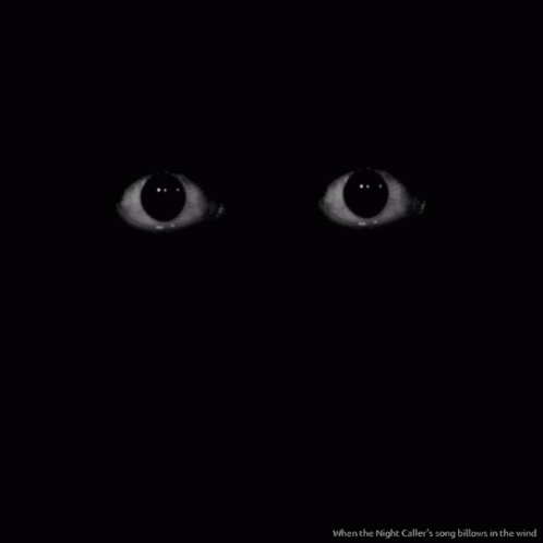 GIF--Eyes-Rolling-Around-in-the-Dark.gif