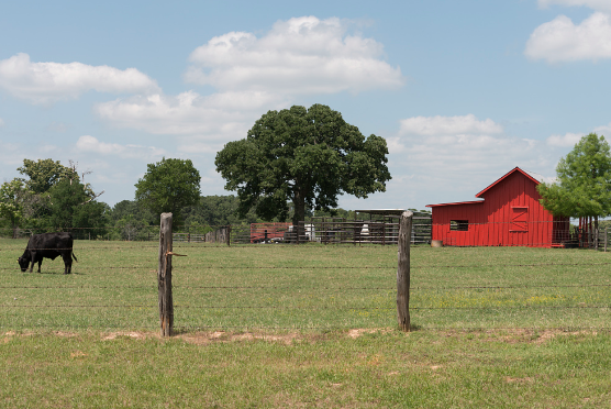 Screenshot 2025-02-03 at 10.50.13 PM.png