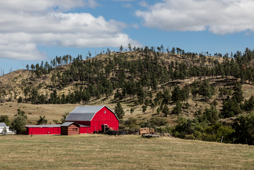 Screenshot 2025-02-03 at 11.04.28 PM.png