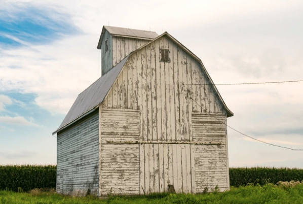 Screenshot 2025-02-03 at 11.13.27 PM.png