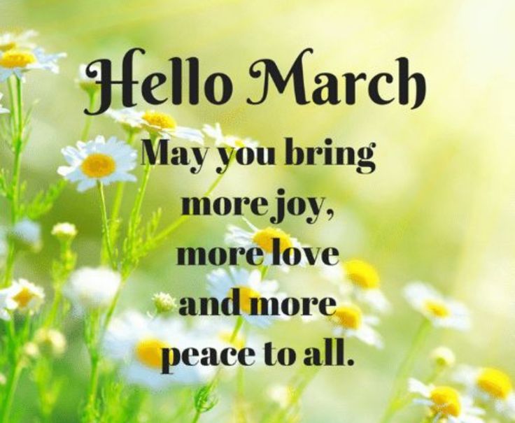 _ - 2025-03-01T075341.461.jpeg