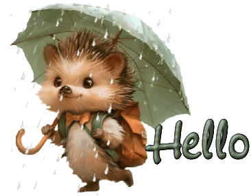 Hedgehog In Rain By Imakheeper zHello.gif