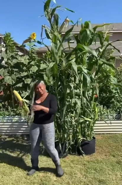 Screenshot 2025-04-13 174645.png