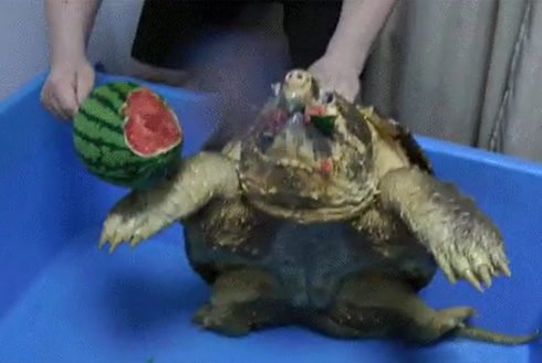 Screenshot 2025-05-24 093506.png