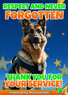 GIF--RESPECT-N-NOT-FORGOTTEN--THANK-U-FOR-YR-SERVICE.GIF