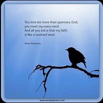 pic--U-LOVE-ME-MORE THAN-SPARROWS--U-MEET-MY-EVERY-NEED--FAITH--MUSTARD-SEED-user.jpg